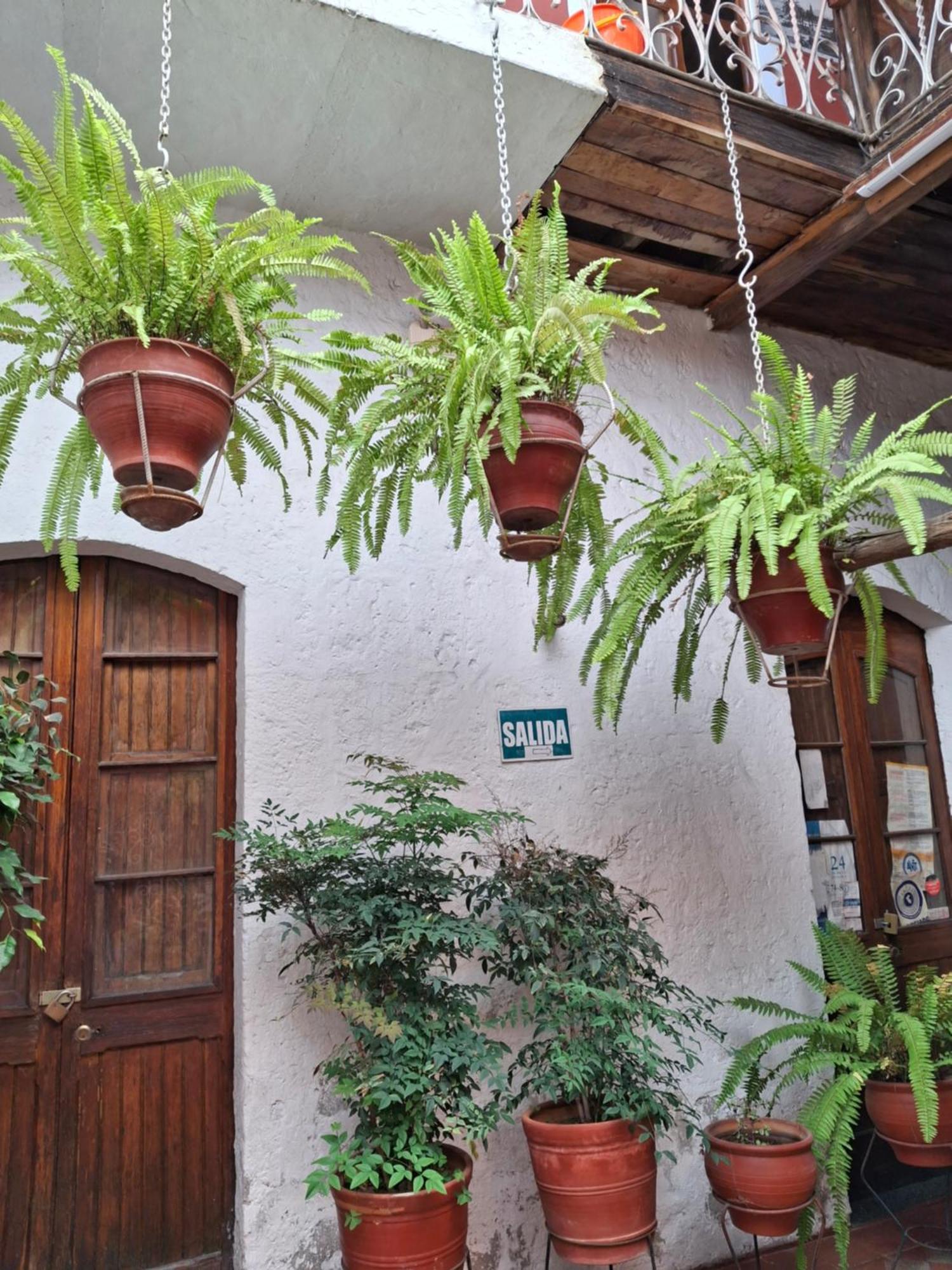 Hostal Lluvia De Oro Αρεκίπα Εξωτερικό φωτογραφία